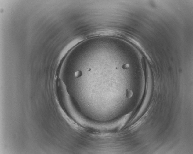 X0000064741426200602171656