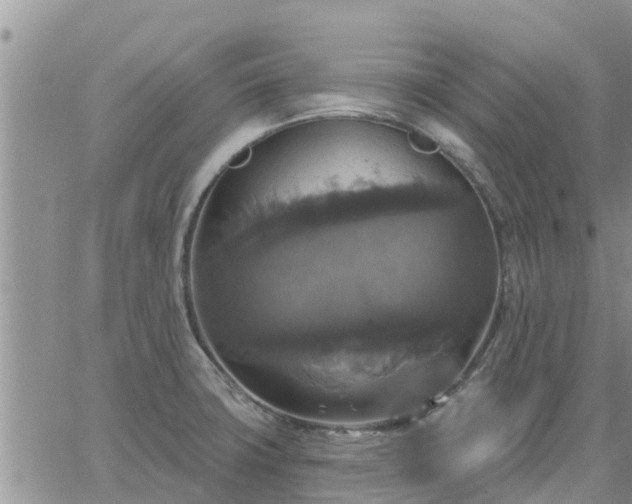 X0000064741427200602171656