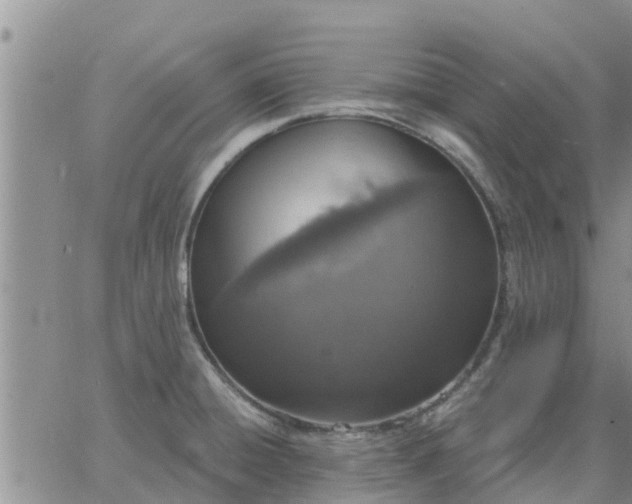 X0000064741428200602171656