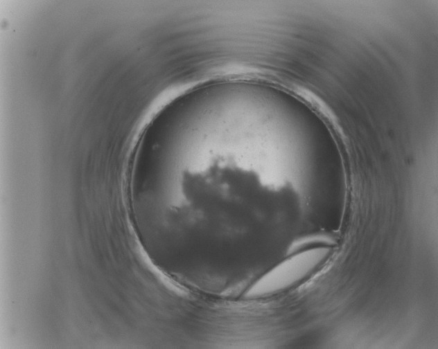 X0000064741429200602171656