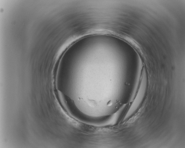 X0000064741430200602171656