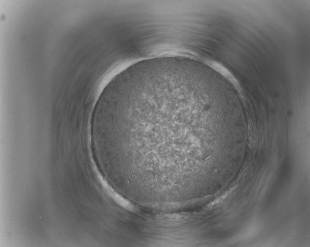 X0000064741431200602171656