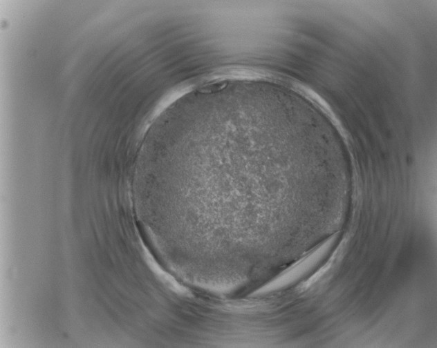 X0000064741433200602171656