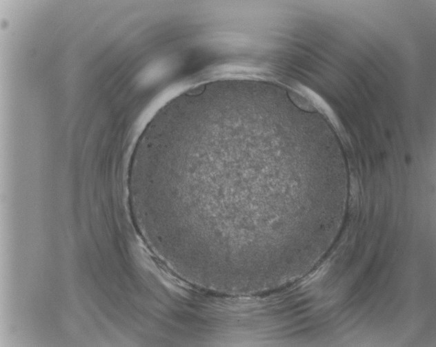 X0000064741435200602171656