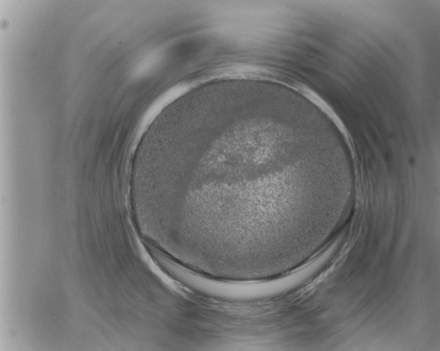 X0000064741437200602171656