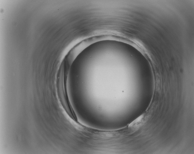 X0000064741438200602171656