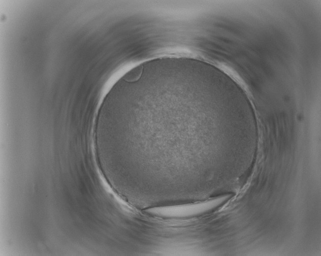 X0000064741440200602171656