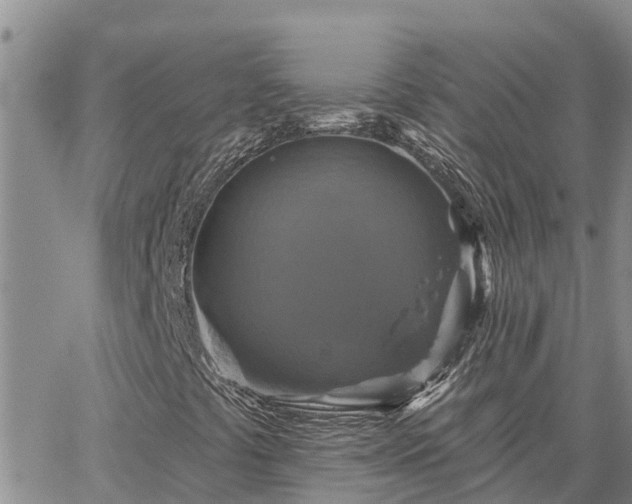 X0000064741441200602171655