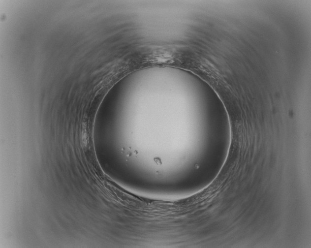 X0000064741442200602171655