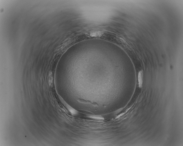 X0000064741443200602171655