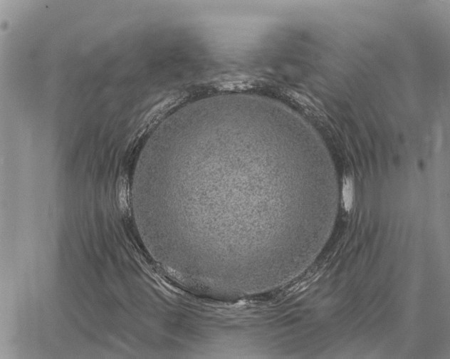 X0000064741444200602171655