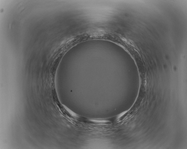 X0000064741445200602171655