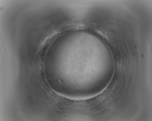 X0000064741447200602171655