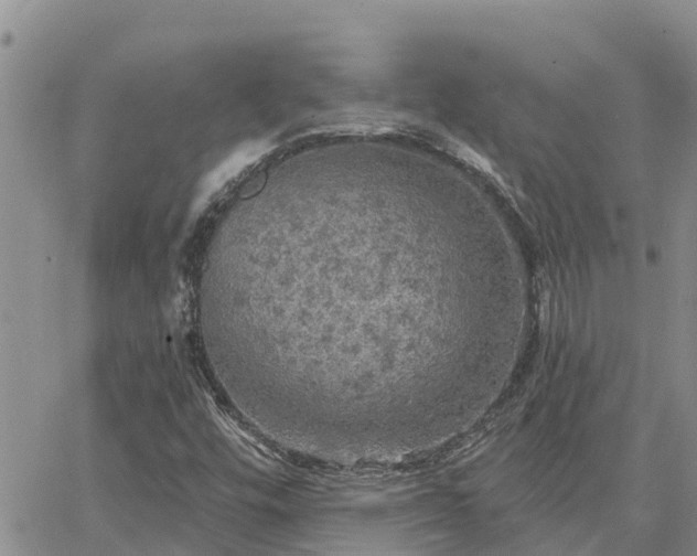 X0000064741448200602171655