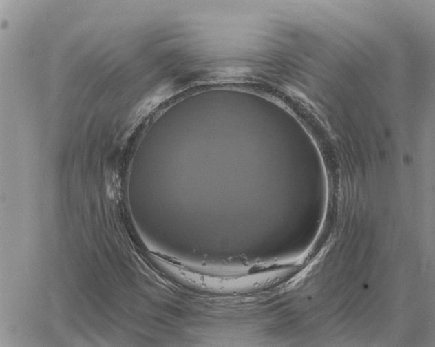 X0000064741449200602171655