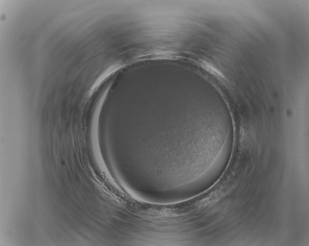 X0000064741450200602171655