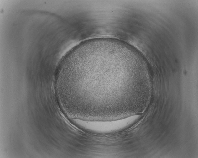 X0000064741452200602171655