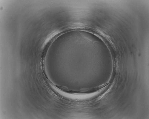 X0000064741453200602171655