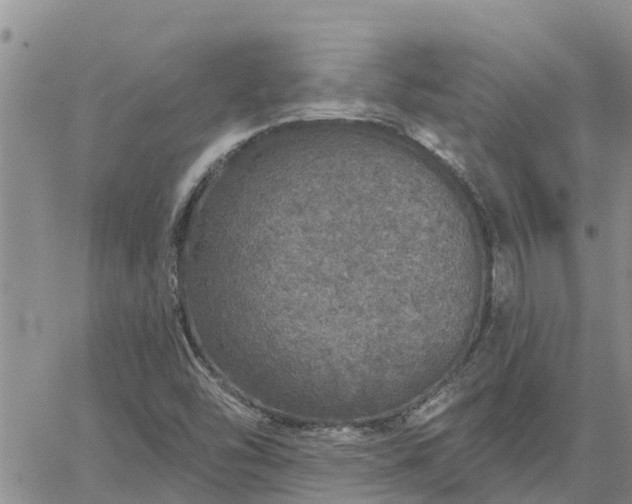 X0000064741454200602171655