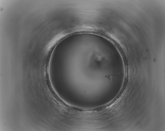 X0000064741455200602171655