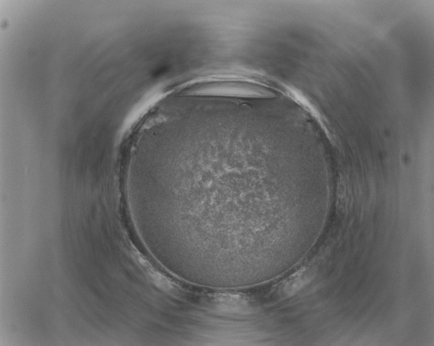 X0000064741456200602171655