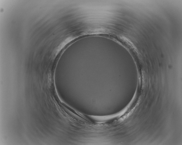 X0000064741457200602171655