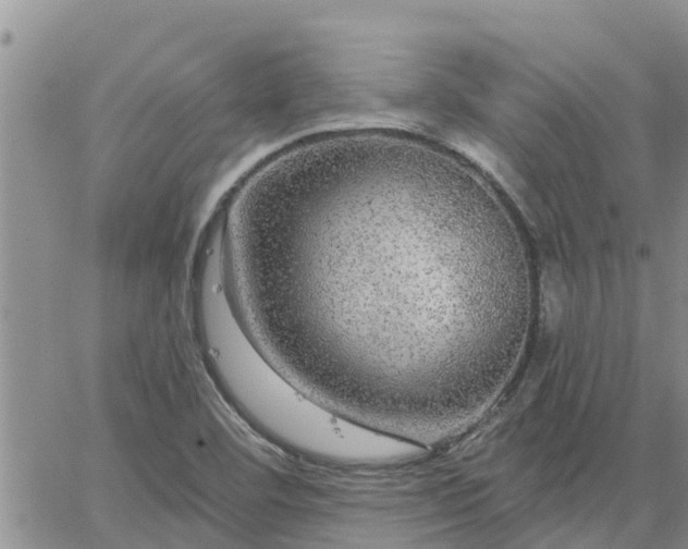 X0000064741460200602171655