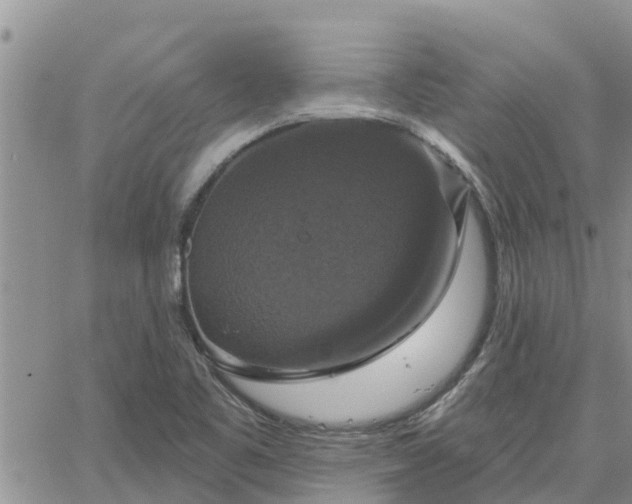 X0000064741461200602171655