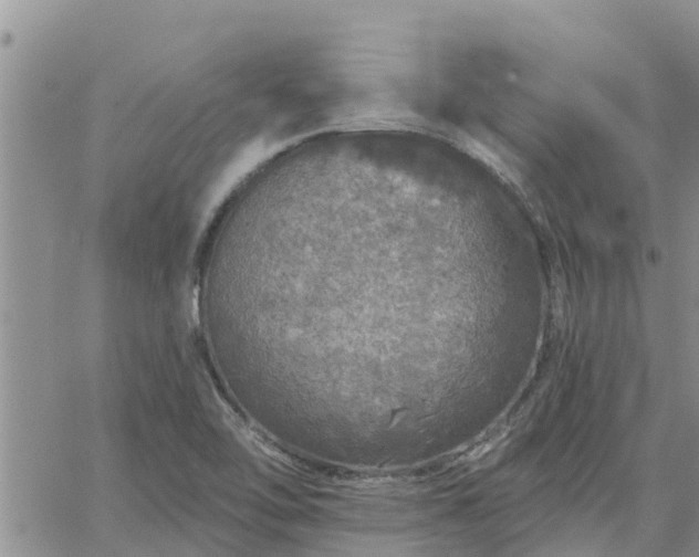 X0000064741462200602171655