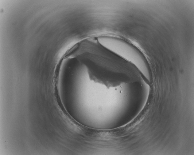 X0000064741463200602171655