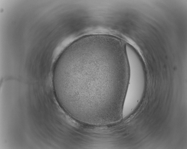 X0000064741464200602171655