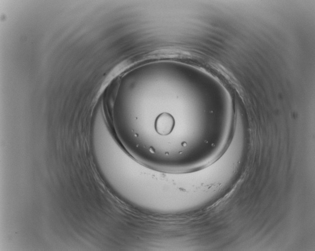 X0000064741465200602171655