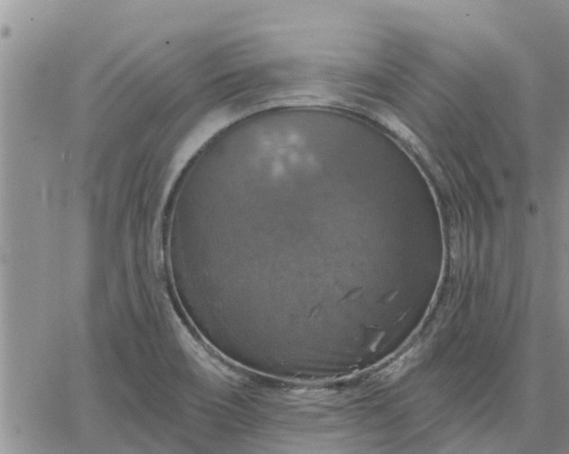 X0000064741466200602171655