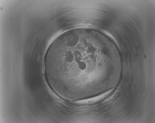 X0000064741467200602171654