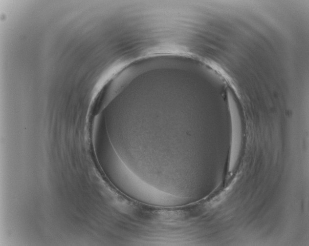 X0000064741469200602171654