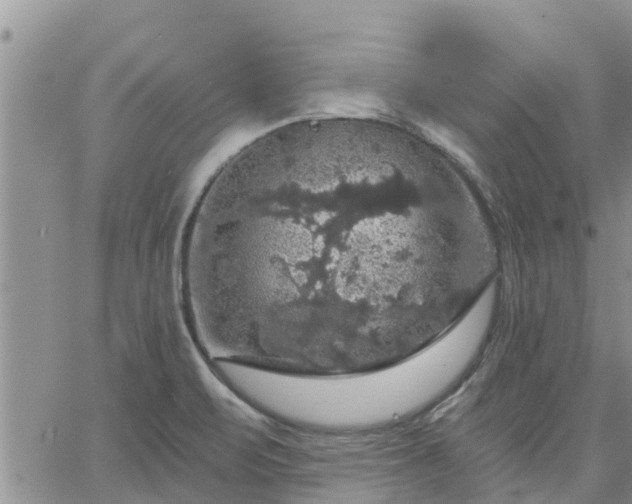 X0000064741471200602171654