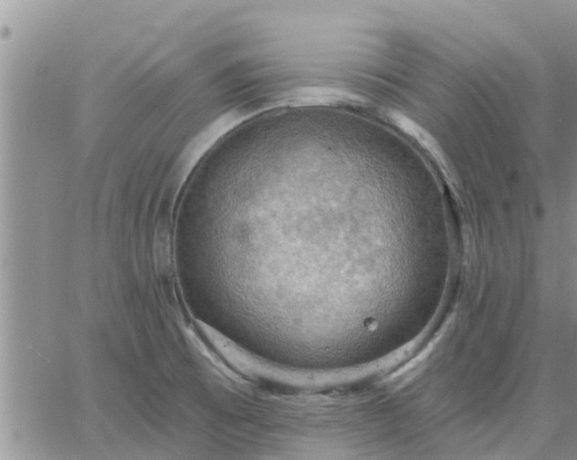 X0000064741473200602171654