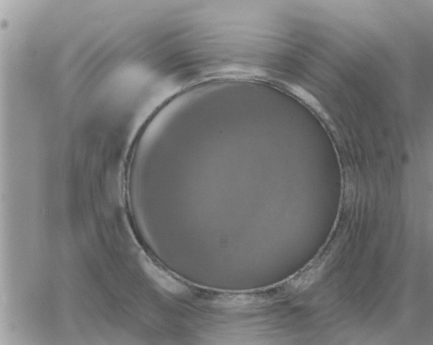 X0000064741474200602171654