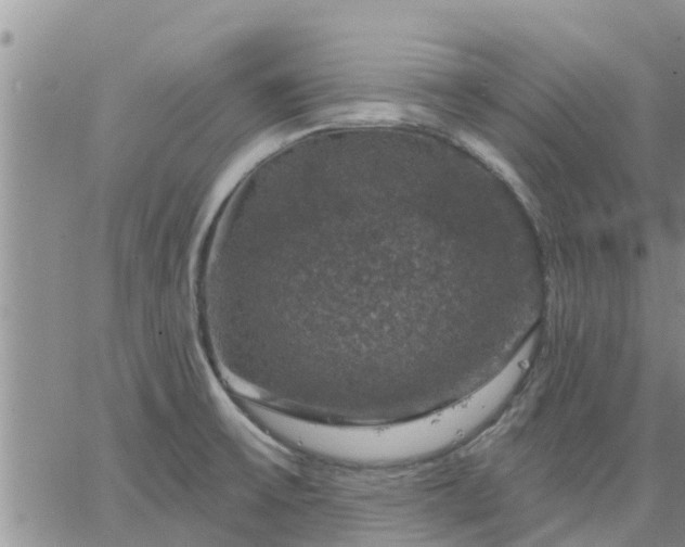 X0000064741475200602171654