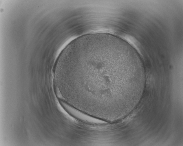 X0000064741476200602171654