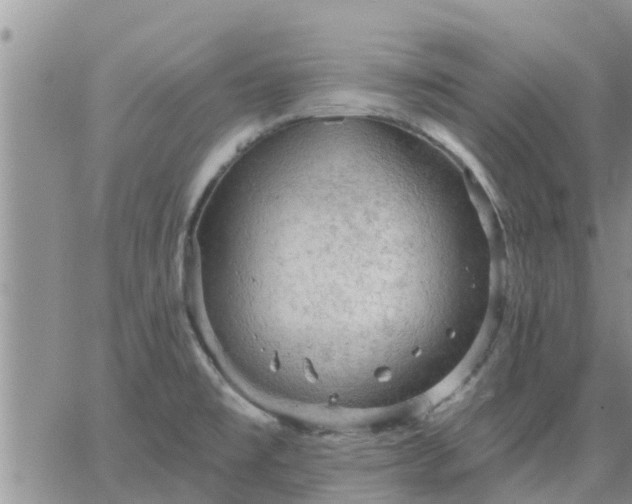 X0000064741477200602171654