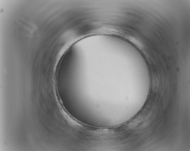 X0000064741478200602171654