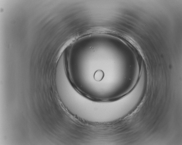 X0000064741481200602171654