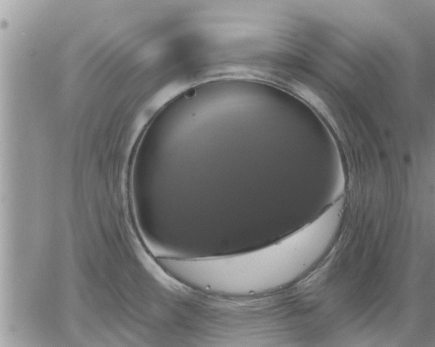 X0000064741482200602171654