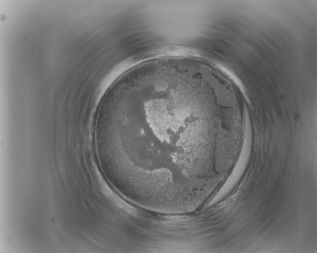 X0000064741483200602171654