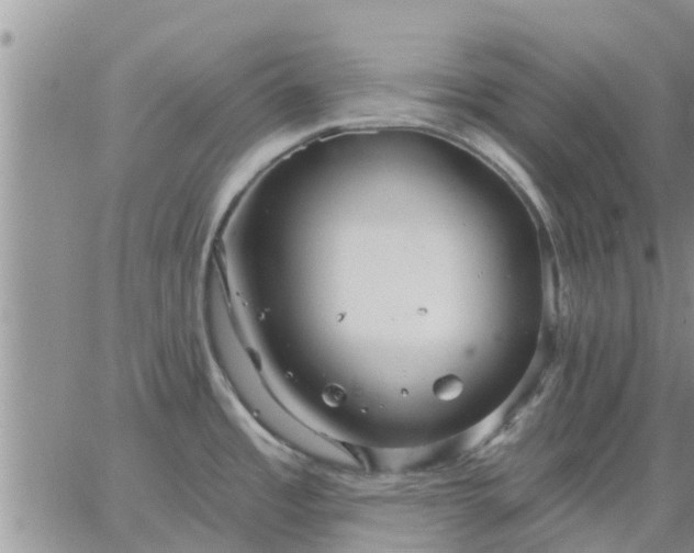 X0000064741485200602171654