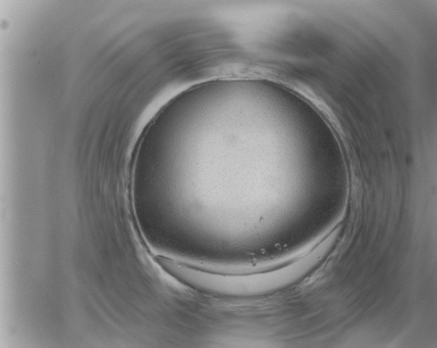 X0000064741486200602171654