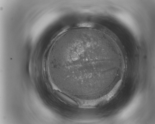 X0000064741487200602171654