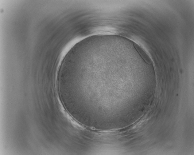 X0000064741488200602171654