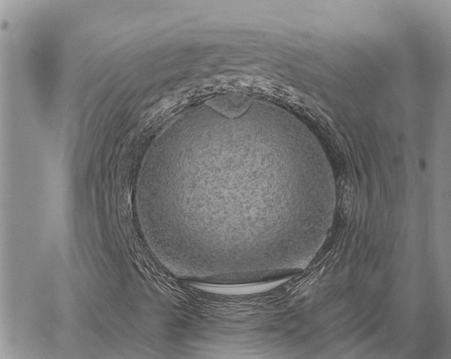 X0000064741489200602171653